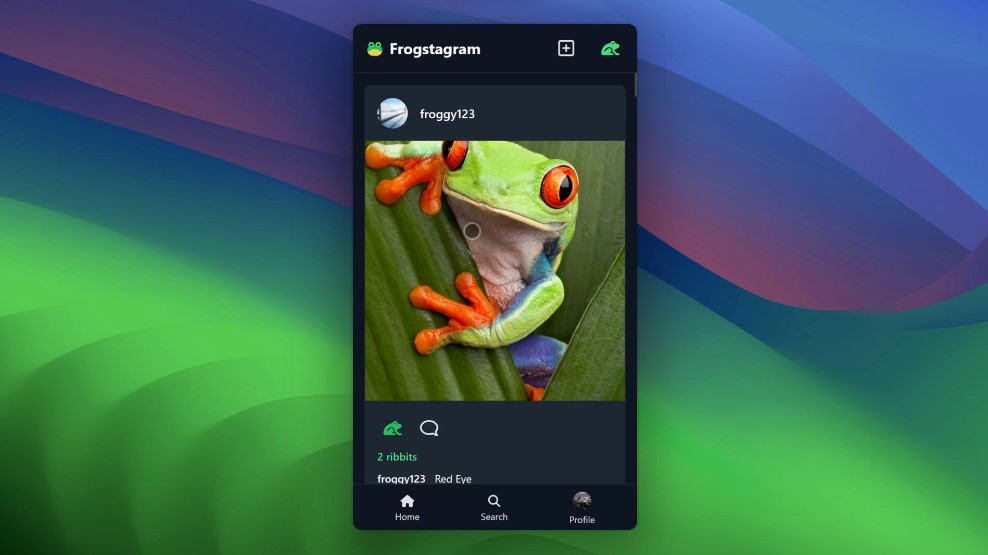 Frogstagram web application interface showing image feed